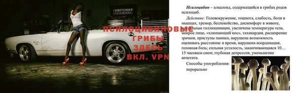мдпв Михайловка