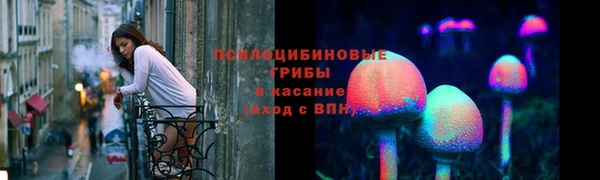 прущая мука Михайлов