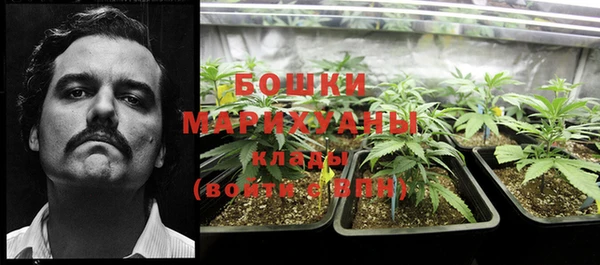 эйфоретик Надым