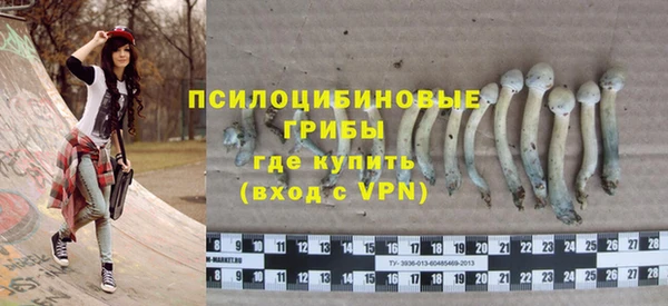 прущая мука Михайлов
