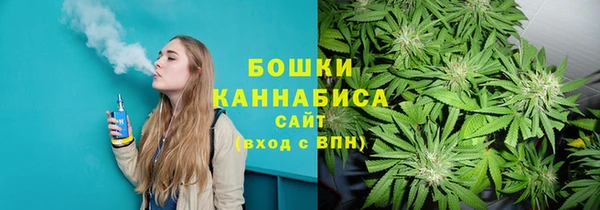 прущая мука Михайлов