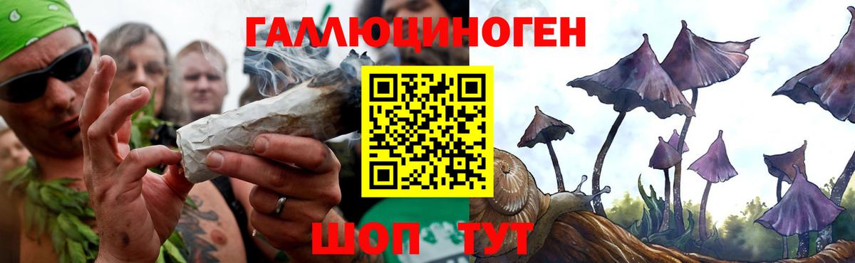 Галлюциногенные грибы MAGIC MUSHROOMS Похвистнево